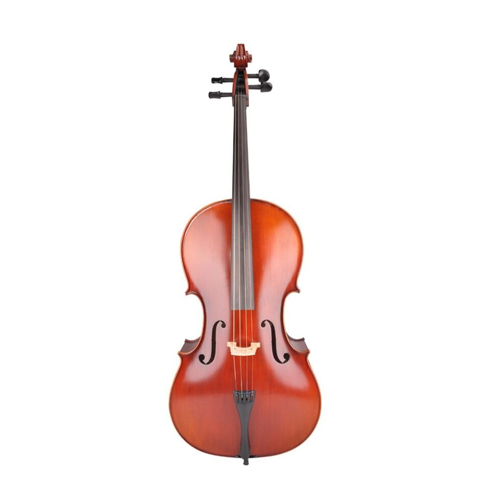 ÇELLO PICALDI CH20Y ADVANCED 4/4