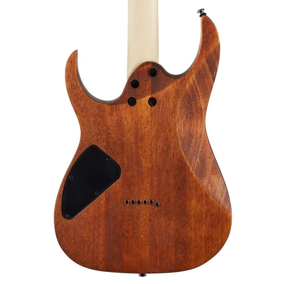 IBANEZ ELEKTRO GİTAR RG421