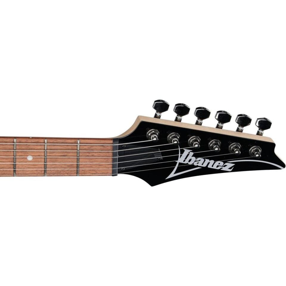 IBANEZ ELEKTRO GİTAR RG421