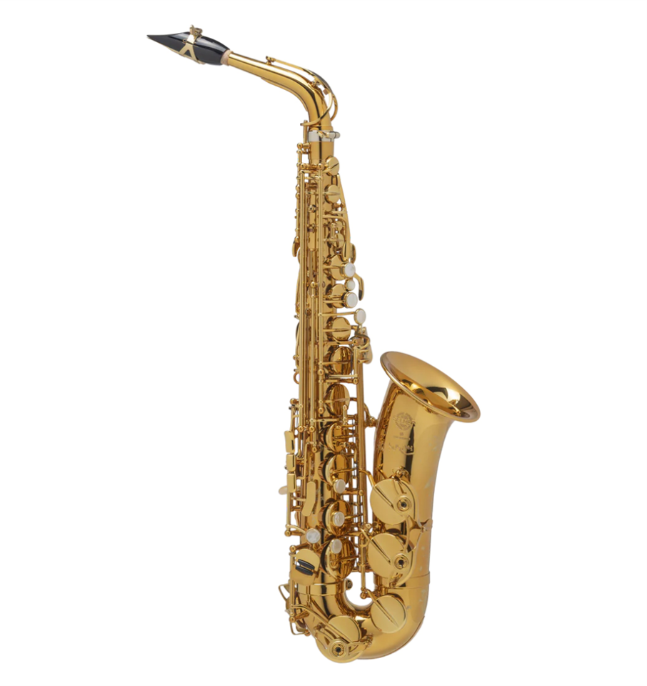 ALTO SAKSAFON HENRI SELMER PARIS SIGNATURE BLACK SET