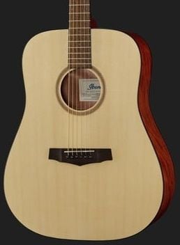 AKUSTİK GİTAR IBANEZ PF10
