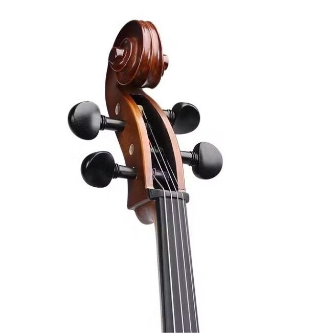 ÇELLO PICALDI CM100M MODERATE 4/4
