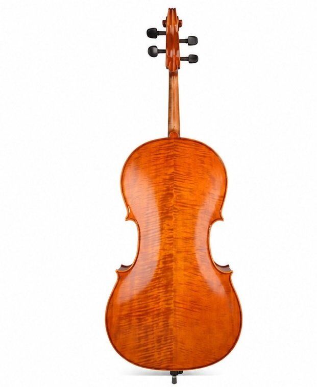 ÇELLO PICALDI CH100S ADVANCED 4/4
