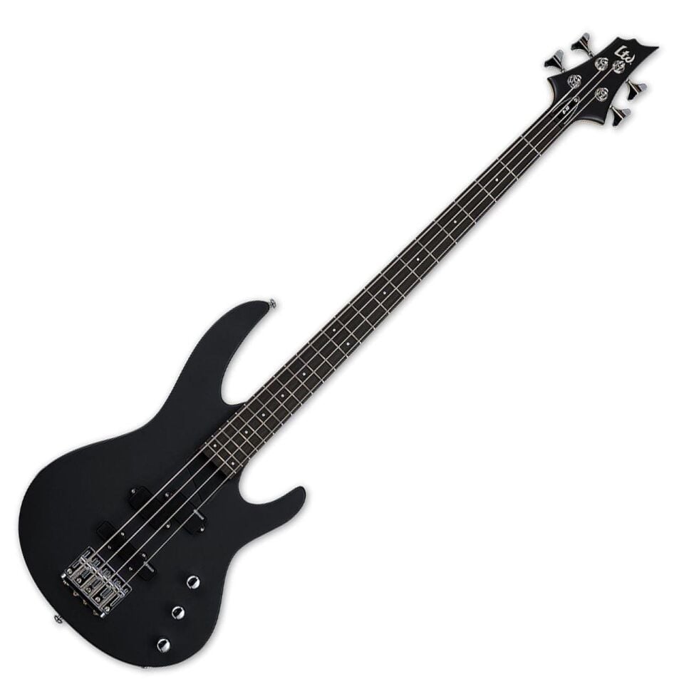 BAS GİTAR ESP LTD B-10 KİT MAT