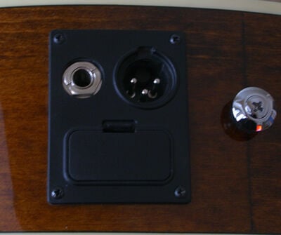 ELEKTRO AKUSTİK GİTAR IBANEZ NATURAL