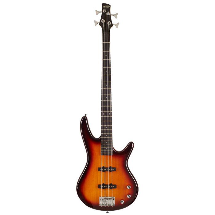 BAS GİTAR IBANEZ BS