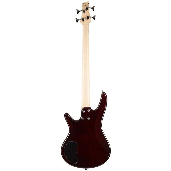 BAS GİTAR IBANEZ BS