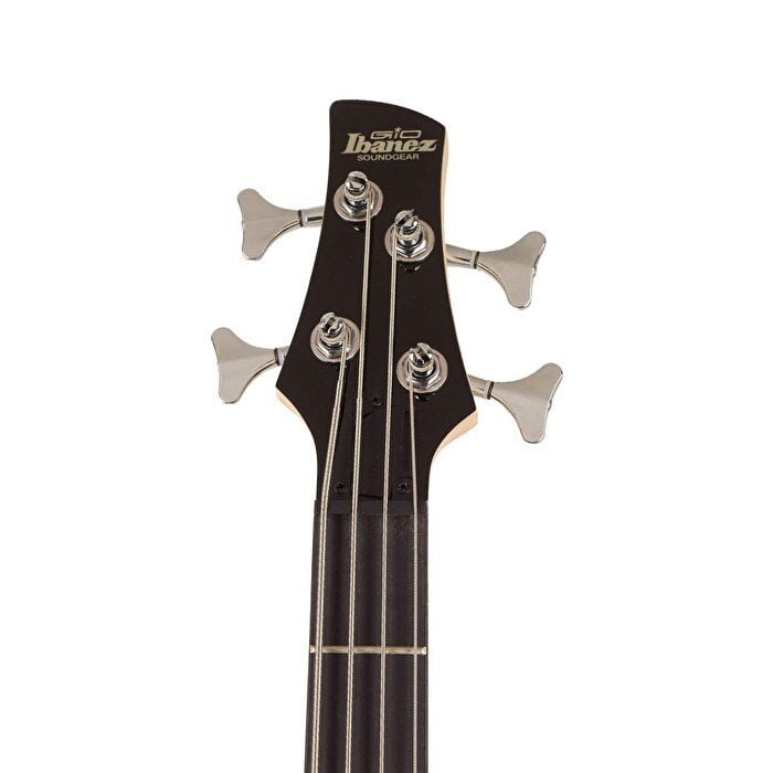 BAS GİTAR IBANEZ BS