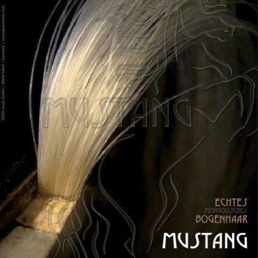 KONTRABASS ARŞE KILI GEWA MUSTANG