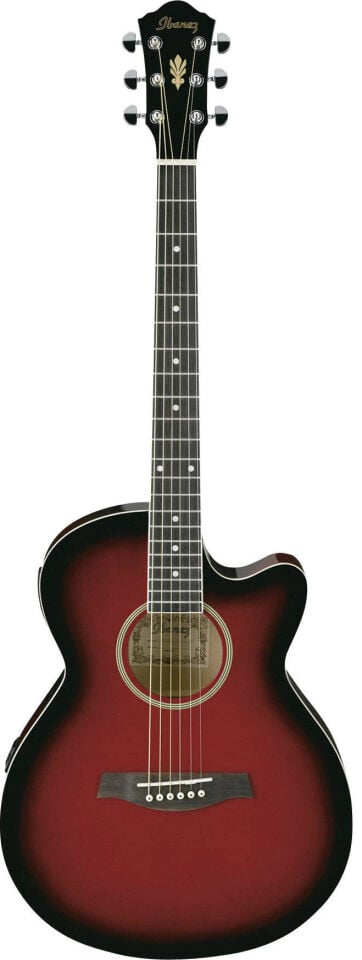 ELEKTRO GİTAR IBANEZ AKUSTIK TRS