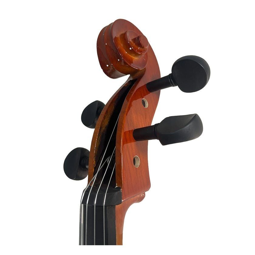 ÇELLO PICALDI 001 1/4
