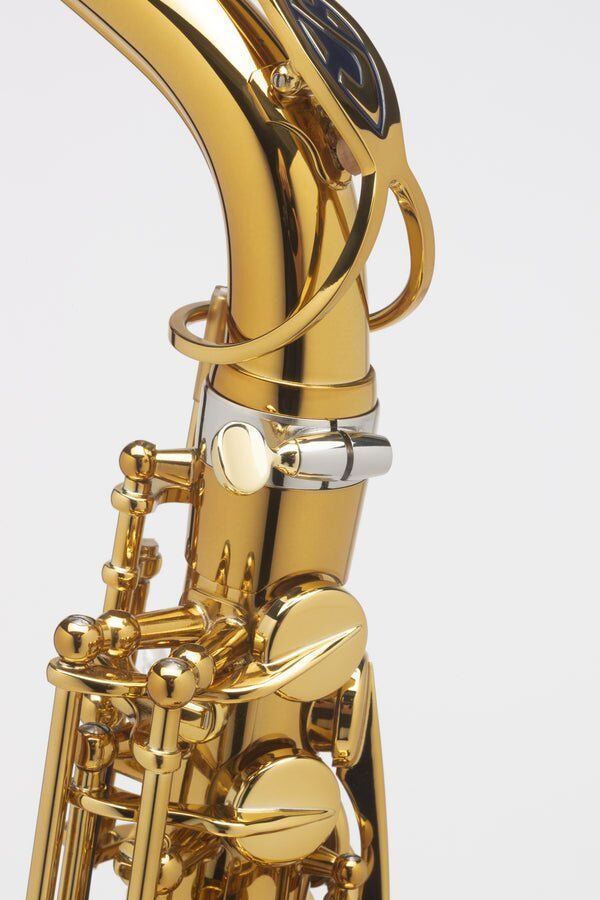 ALTO SAKSAFON HENRI SELMER PARIS SUPREME LACQUERED SET