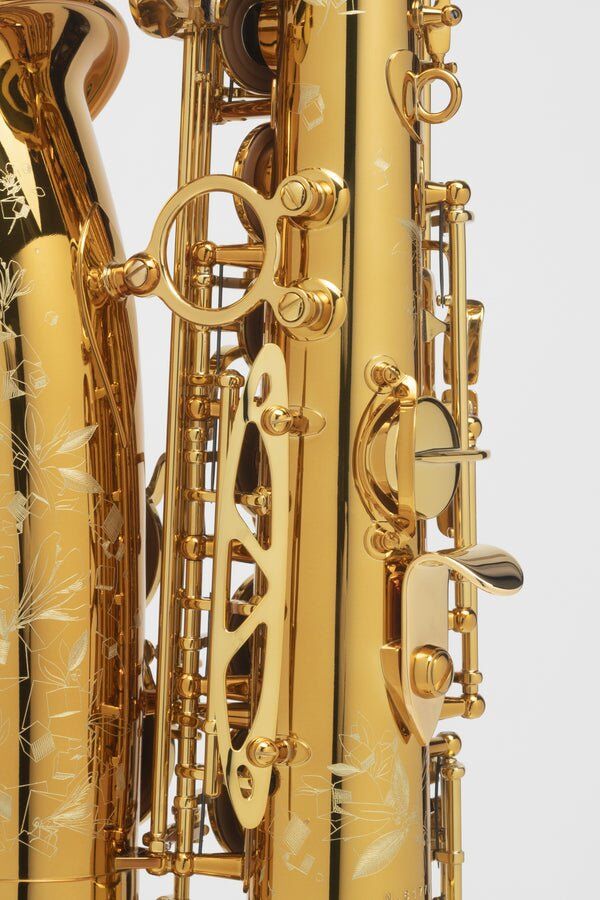 ALTO SAKSAFON HENRI SELMER PARIS SUPREME LACQUERED SET