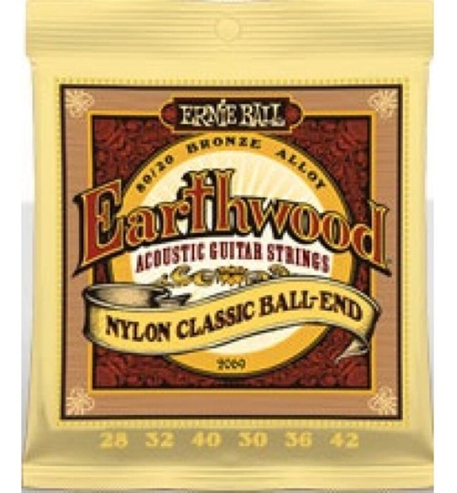 ERNIE BALL ELEKTRO GİTAR TELİ 02069