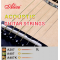 ALICE A207-SL 11-52 SUPER LIGHT BAKIR KAPLAMALI ALAŞIMLI AKUSTİK GİTAR TELİ 
