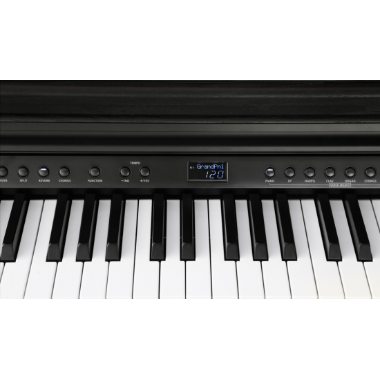 Kurzweil CUP-E1BK Mat Siyah Dijital Piyano Kurzweil CUP-E1BK Mat Siyah Dijital Piyano