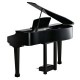 Kurzweil Kuyruklu Parlak Siyah Dijital Piyano KAG100-BP