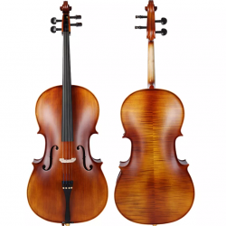 Picaldi CG210H 4/4 Tam Boy Çello  Picaldi CG210H 4/4 Tam Boy Çello