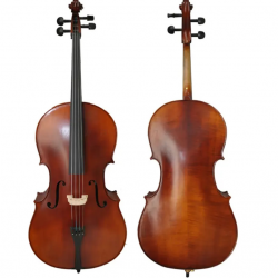 Picaldi CM110H 4/4 Moderate Tam Boy Çello