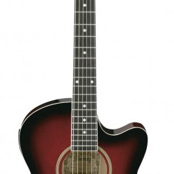 İbanez Elektro Akustik Gitar AEG5EJPU-TRS