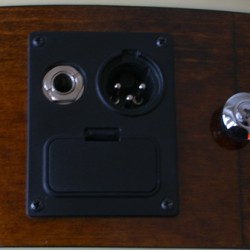 İbanez Siyah Elektro Akustik Gitar AEG8E-BK