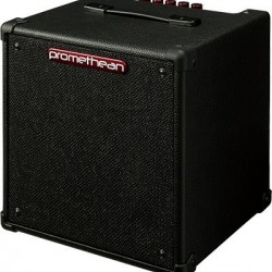 Ibanez P20-U 20W Kombo Bass Gitar Amfisi