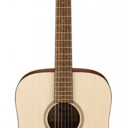 Ibanez PF10-OPN Akustik Gitar