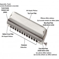 Cremonia 10 Delikli Mızıka HM0310