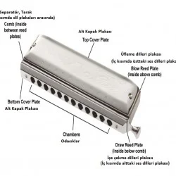 Cremonia 10 Delikli Mızıka HM0310