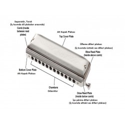 Cremonia 10 Delikli Mızıka HM0310