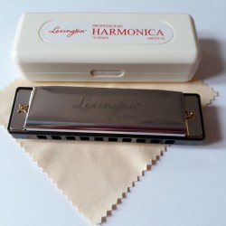 Cremonia 10 Delikli Mızıka HM0310