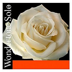 Pirastro Wandertone Set Keman Teli 410521 Pirastro Wandertone Set Keman Teli 410521