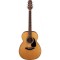 Takamine GN10-NS Akustik Gitar