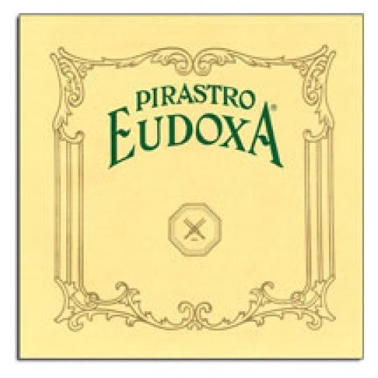 Pirastro Eudoxa Çelik E ( Mi ) Tek Keman Teli 314721