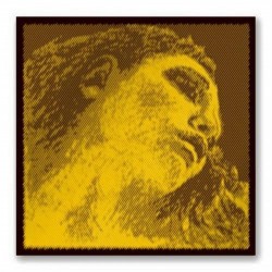 Pirastro Evah Pirazzi Gold G Silver Medium Set Keman Teli 415091