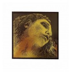 Pirastro Evah Pirazzi Gold G ( Sol ) Tek Keman Teli 415421