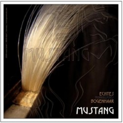 Mustang Çello Kılı 450922