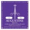 Augustine Regals Blue Set Klasik Gitar Teli 650537