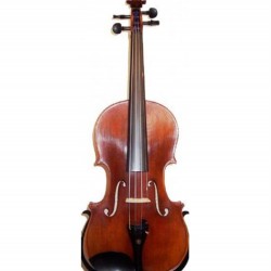 Carlovy VLA4 4/4 Keman