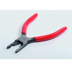 Rieger Fagot Pensesi F28