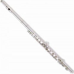 Picaldi Gümüş Flüt JYFL-E110S