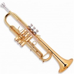 Picaldi Gold Deri Kutulu Trompet JYTR-2000G