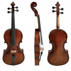 Picaldi VH100HY 4/4 Keman 