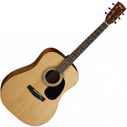 Cort Akustik Gitar ( Kılıfsız ) AD810 OP