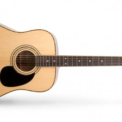 Cort Akustik Gitar AD880N