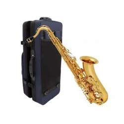 Buffet Crampon 100 Seri Alto Saksafon  BC8101-1-0