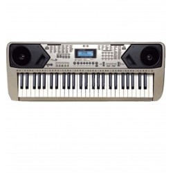 LP 54 Tuş 100 Ses 100 Ritim Org LP5410