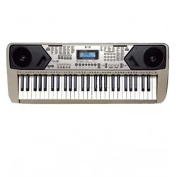 LP 54 Tuş 100 Ses 100 Ritim Org LP5410