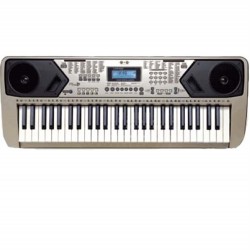 LP 54 Tuş 100 Ses 100 Ritim Org LP5410