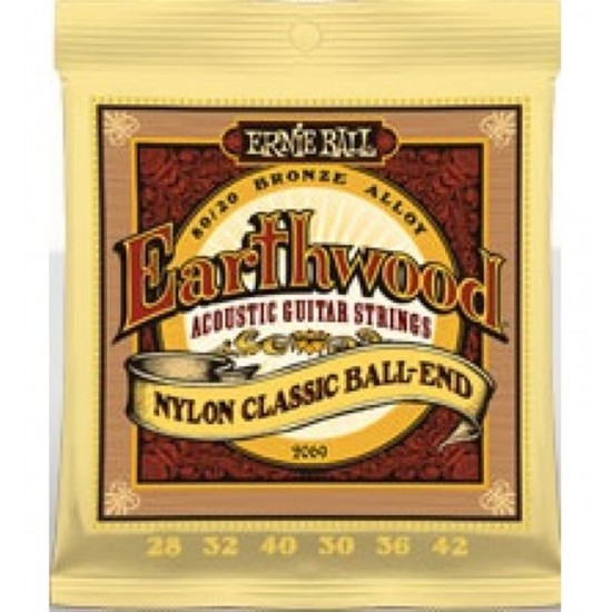 Ernieball P02069 Gitar Teli 